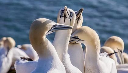 开云体育官网-职业联赛多支队伍经营难以为继，职业联赛的意义