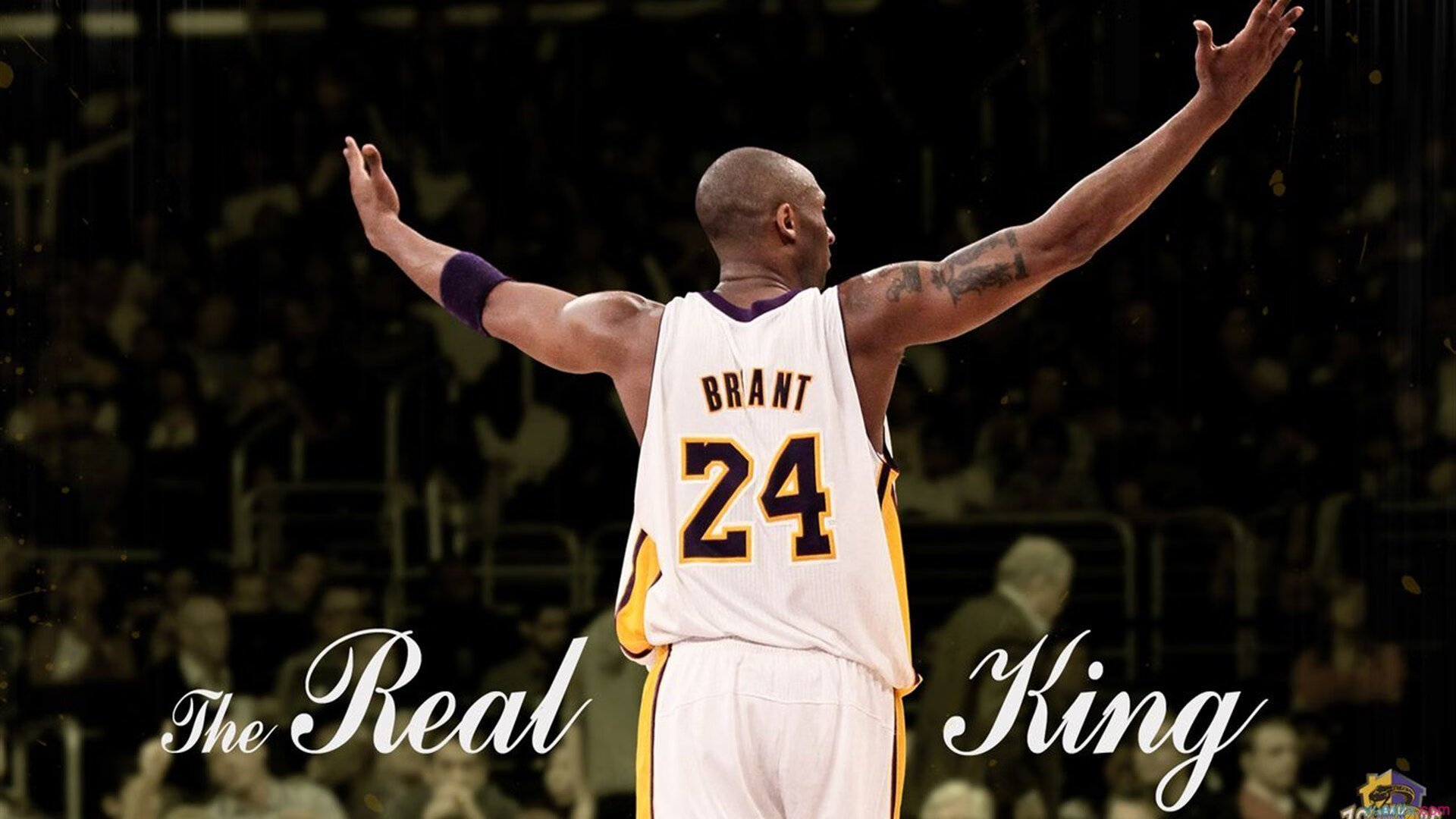 武术表演邀您体验传统文化的奥秘,武术文化传承